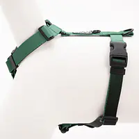Dog or cat guard harness "Under my ombrella" green  - Master