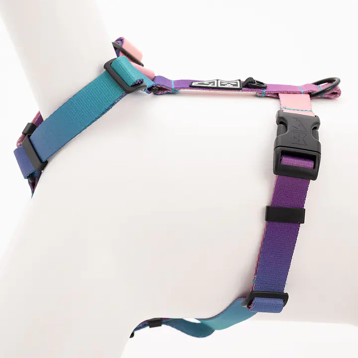 Dog or cat guard harness "Under my ombrella" Turquoise  - Master