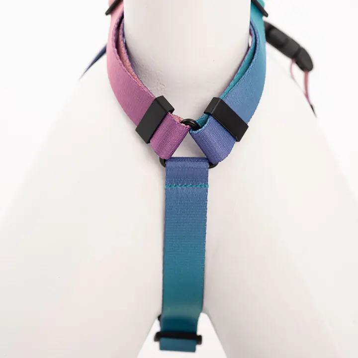 Dog or cat guard harness "Under my ombrella" Turquoise  - Master
