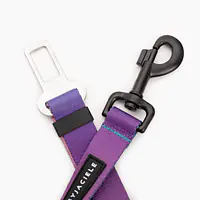 Pasy samochodowe "Under my ombrella" TURKUS - Master