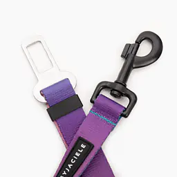 Pasy samochodowe "Under my ombrella" TURKUS - Master