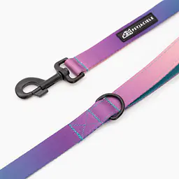 City leash "Under my ombrella" turquoise - Master