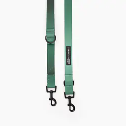 Adjustable leash "Under my umbrella" green  - Master