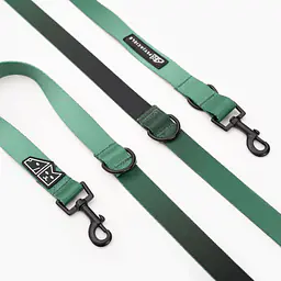 Adjustable leash "Under my umbrella" green  - Master
