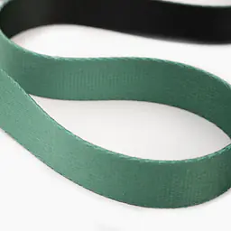 Adjustable leash "Under my umbrella" green  - Master