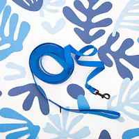 Training leash Blue AF - Master