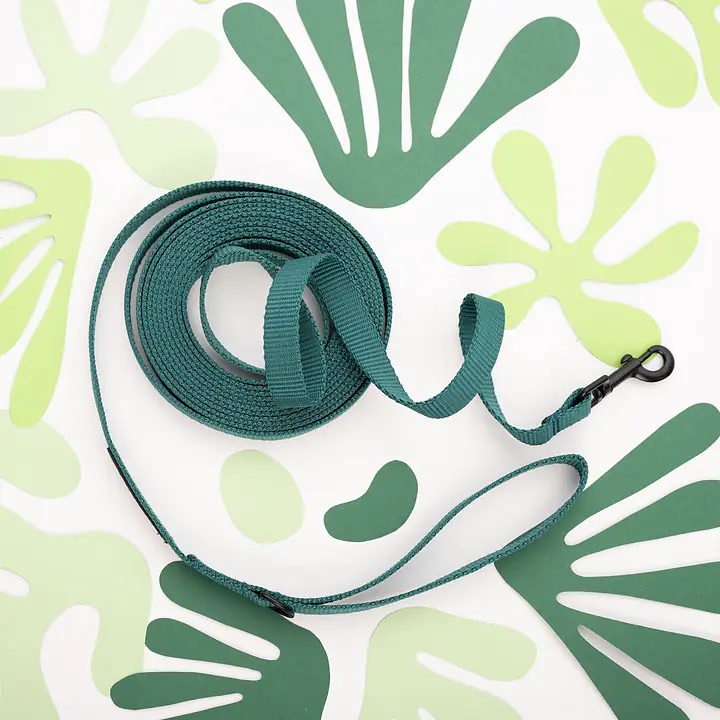 Smycz treningowa Green AF - Master