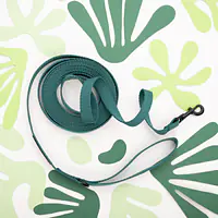 Smycz treningowa Green AF - Master