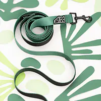 Smycz treningowa Green AF - Master