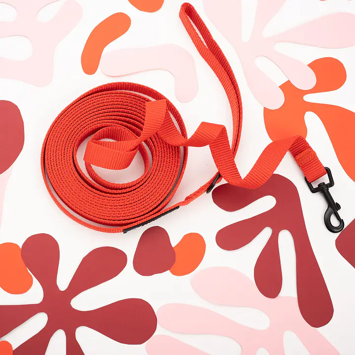 Training leash Red AF - Master