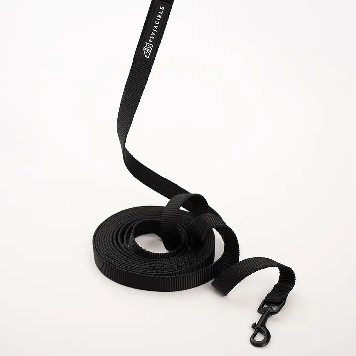 Training leash Black AF - Master