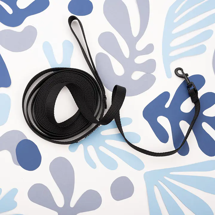 Smycz treningowa Black AF - Master