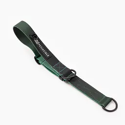 COPY OF Half-clamp collar "Under my ombrella" green - Master