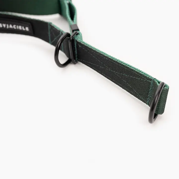 WYPRZEDAZ Obroża półzaciskowa dla psa lub kota "Under my ombrella" ZIELEŃ - Master