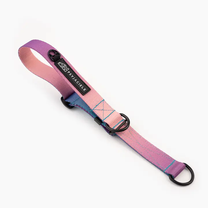 Obroża półzaciskowa dla psa lub kota "Under my ombrella" TURKUS - Master