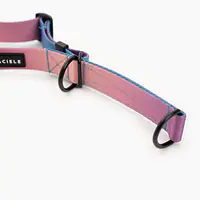 Obroża półzaciskowa dla psa lub kota "Under my ombrella" TURKUS - Master