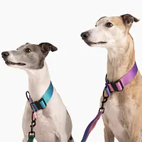 Obroża półzaciskowa dla psa lub kota "Under my ombrella" TURKUS - Master