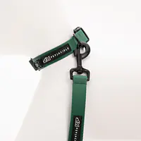 Dog or cat collar "Under my ombrella" green - Master