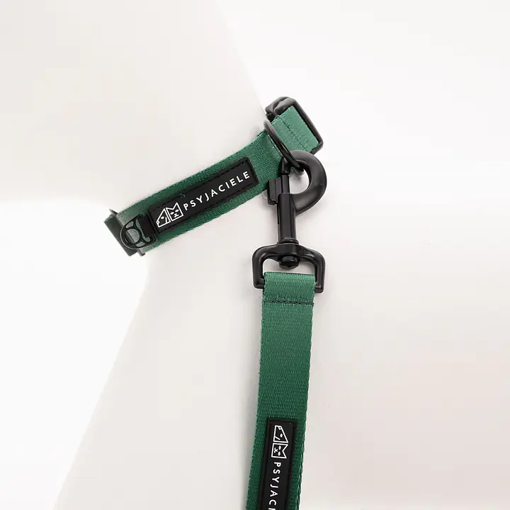 Dog or cat collar "Under my ombrella" green - Master