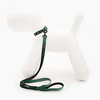 Dog or cat collar "Under my ombrella" green - Master