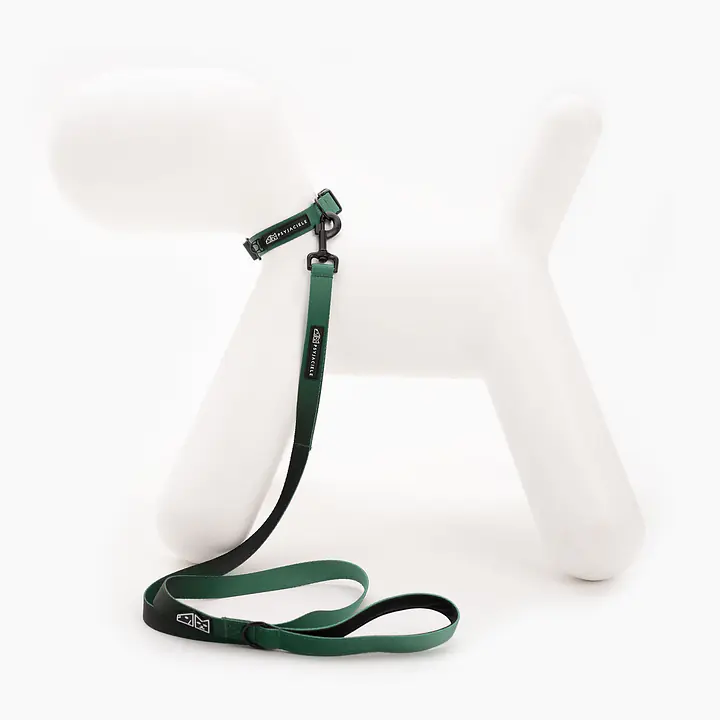 Dog or cat collar "Under my ombrella" green - Master