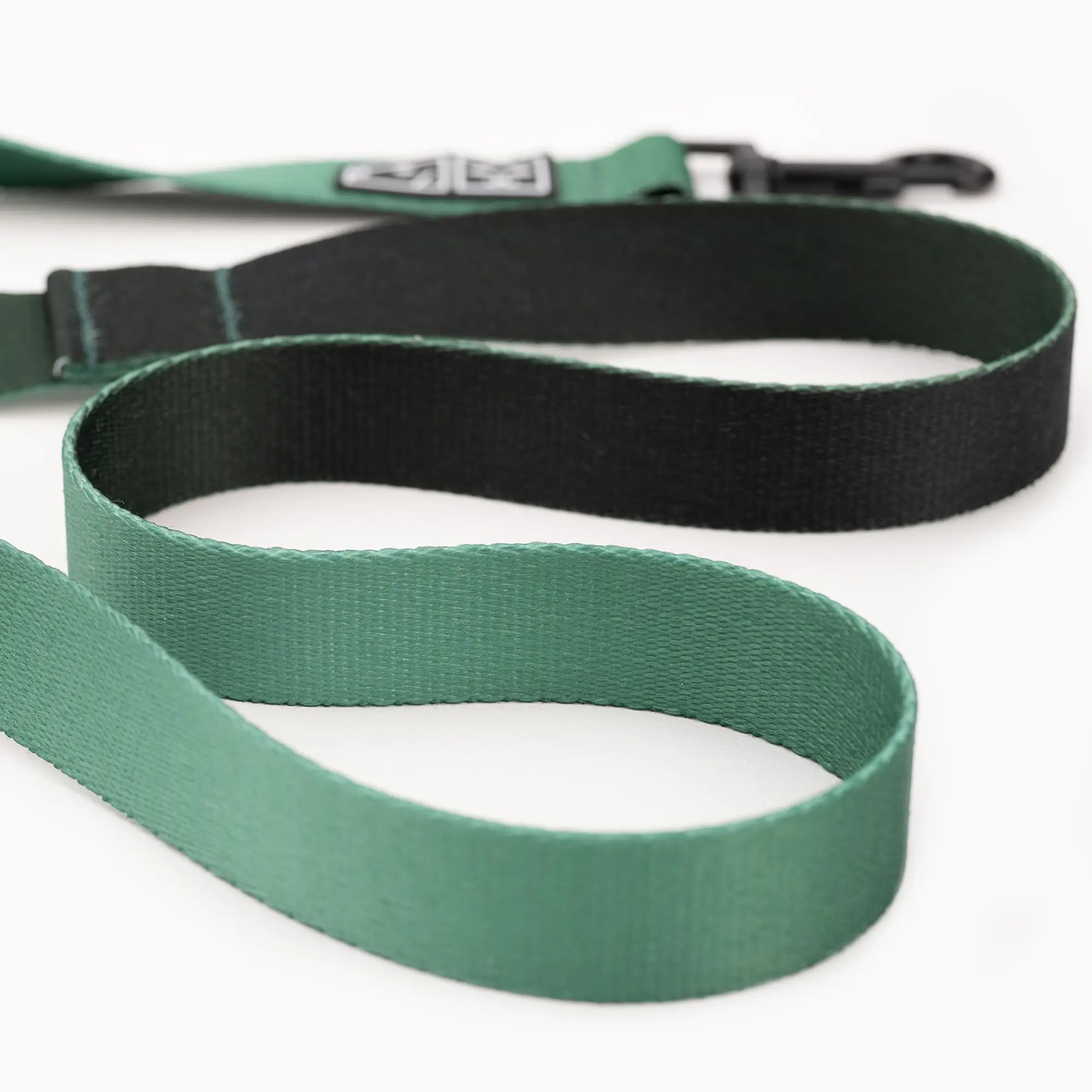 Dog or cat collar "Under my ombrella" green - Master