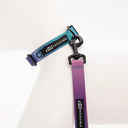 Dog or cat collar "Under my ombrella" turquoise - Master