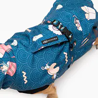 Dog jacket "Doggomaki" - Master