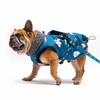 Dog jacket "Doggomaki" - Master