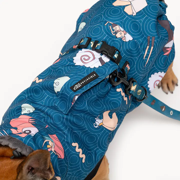 Dog jacket "Doggomaki" - Master
