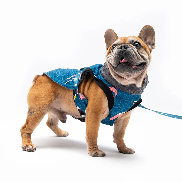 Dog jacket "Doggomaki" - Master