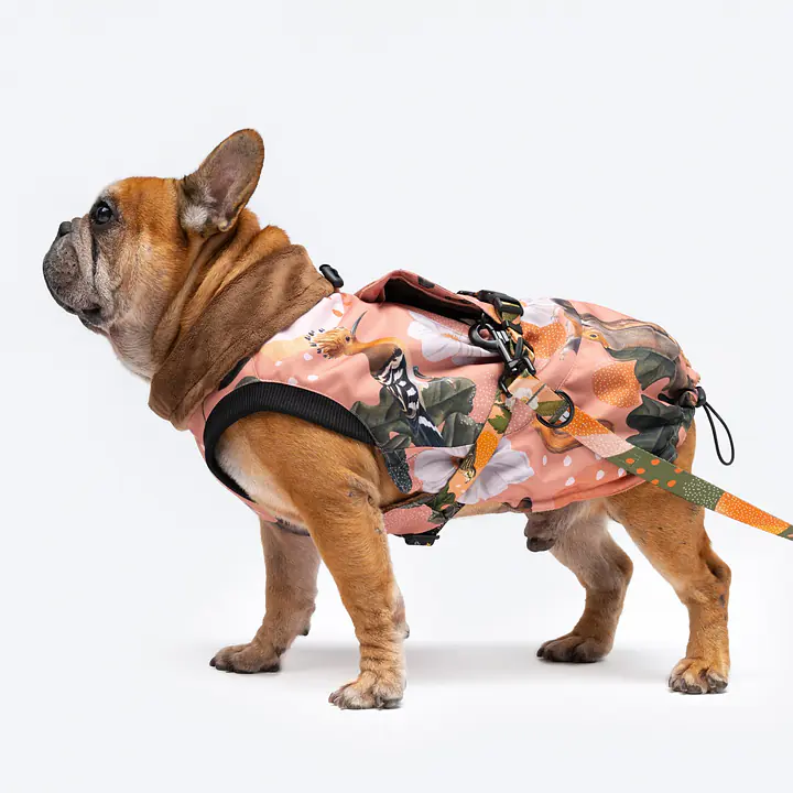 Dog jacket "Play with my nuts" - Master