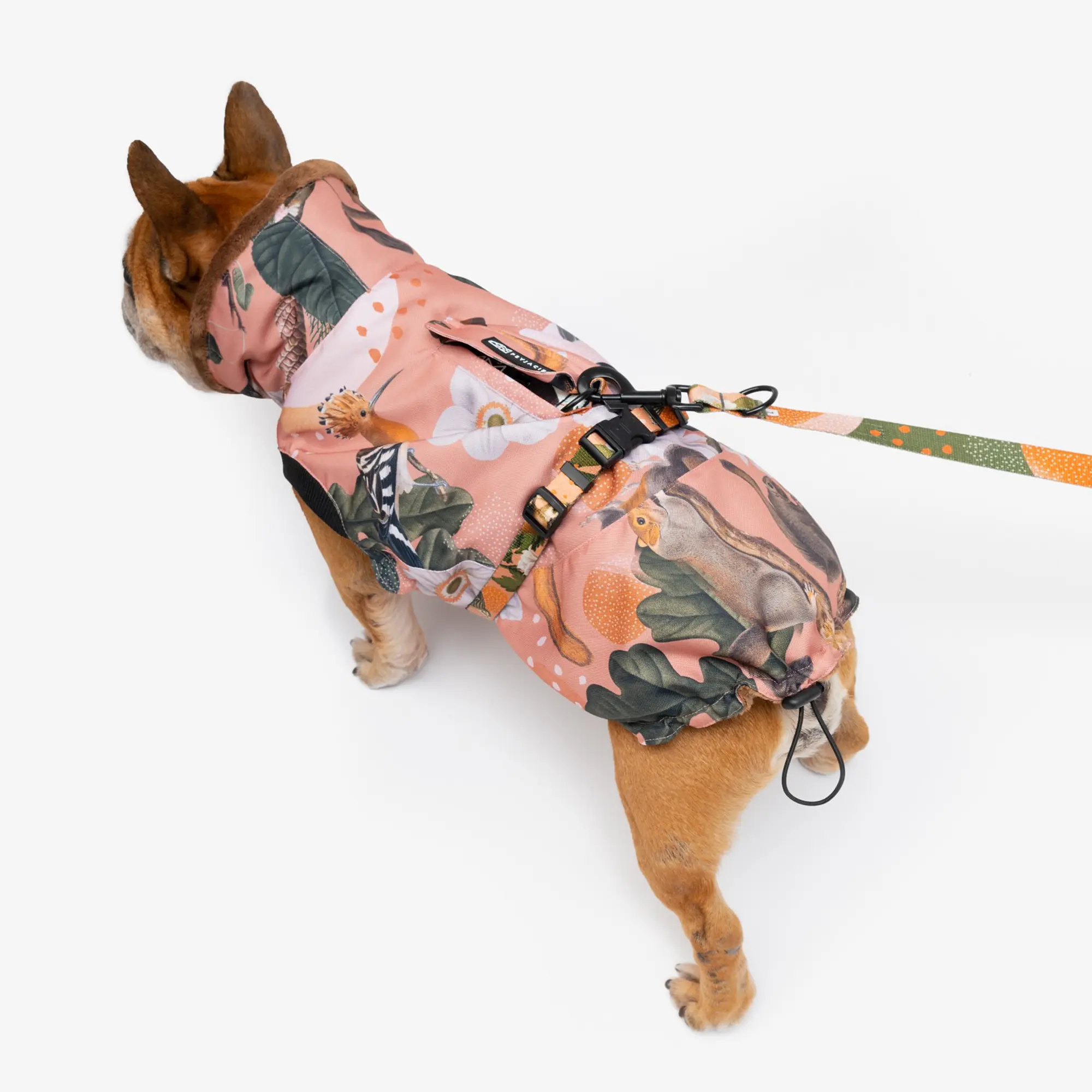 Dog jacket "Play with my nuts" - Master