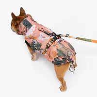 Kurtka dla psa "Wie wiórka co dobre" - Master