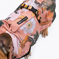 Dog jacket "Play with my nuts" - Master