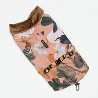 Dog jacket "Play with my nuts" - Master