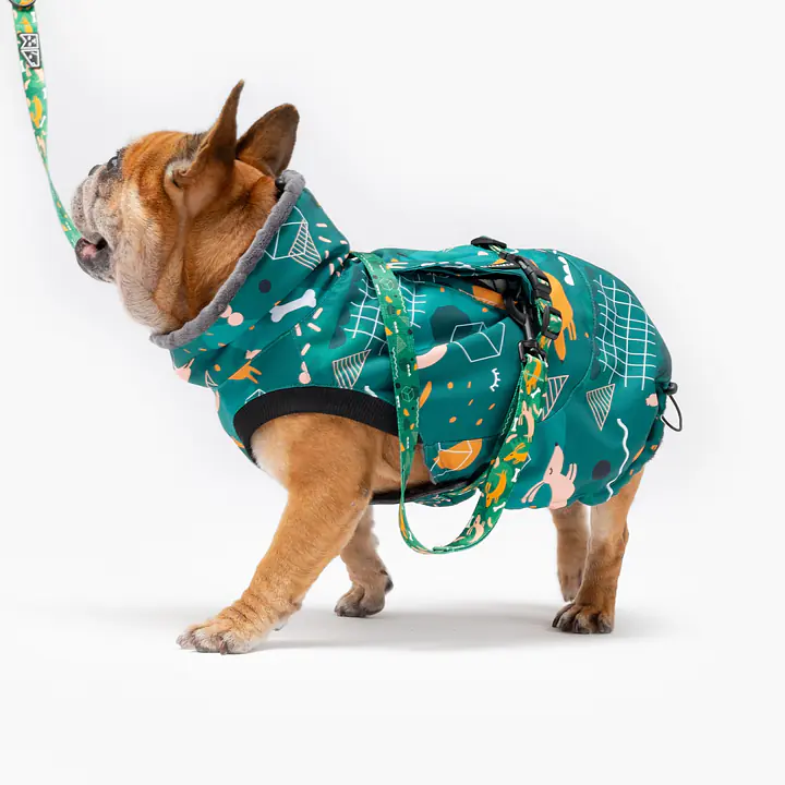 Dog jacket "Sleepy dogs" - Master