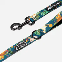 "Dogollage" city leash - Master