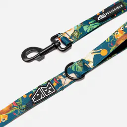 "Dogollage" city leash - Master