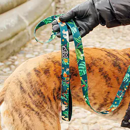 "Dogollage" city leash - Master