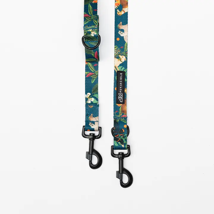 Adjustable leash "Dogollage" - Master