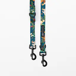 Adjustable leash "Dogollage" - Master