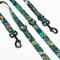 Adjustable leash "Dogollage" - Master