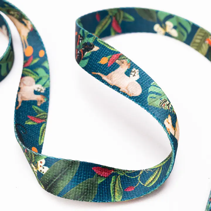 Adjustable leash "Dogollage" - Master