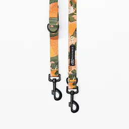 Smycz przepinana dla psa lub kota "Wie wiórka co dobre" - Master