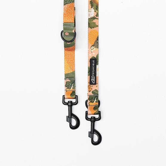 Adjustable leash "Play with my nuts" 