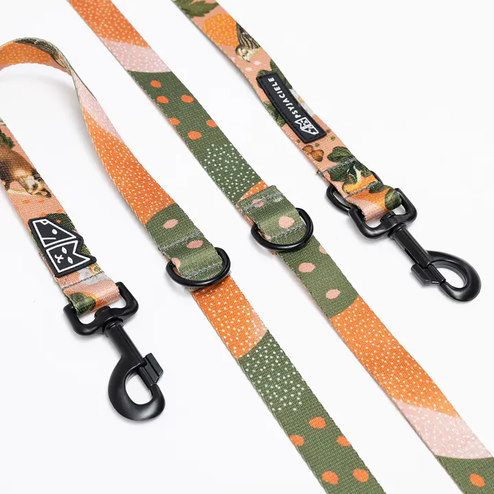 Smycz przepinana dla psa lub kota "Wie wiórka co dobre" - Master