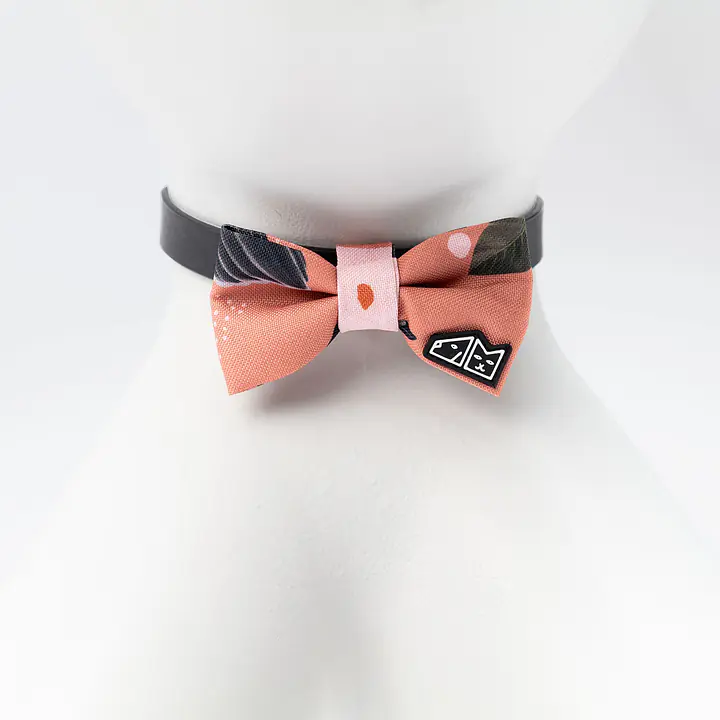 Bow tie "Play with my nuts"  - Master