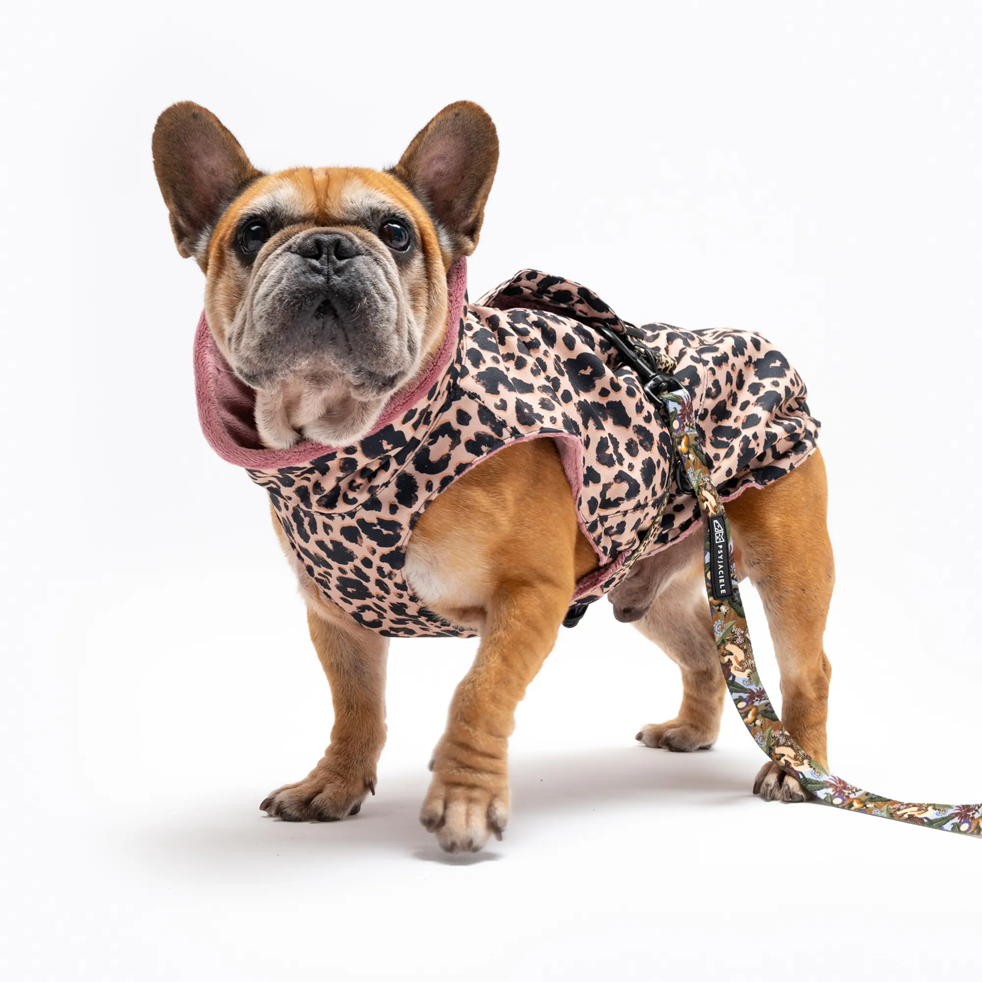 Dog jacket "Respect the wildness" - Master