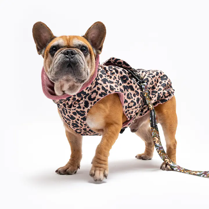 Dog jacket "Respect the wildness" - Master